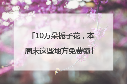 10万朵栀子花，本周末这些地方免费领